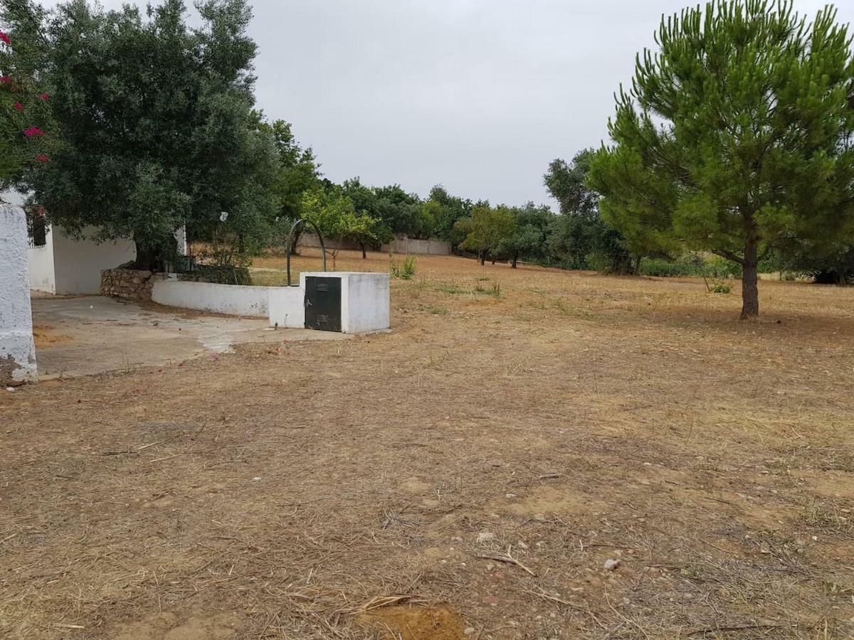 Casa Rustica No Monte Das Oliveiras, Sta Margarida, Tavira Eksteriør billede